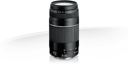 te ontvangen uitrusting Bewijzen Canon EF 75-300mm f/4-5.6 III -Specifications - Lenses - Camera & Photo  lenses - Canon Europe